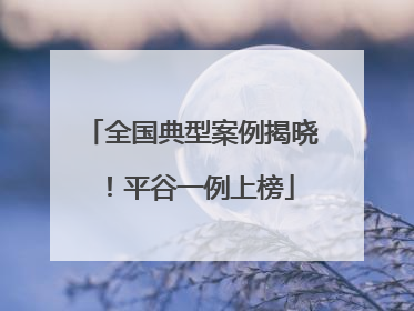 全国典型案例揭晓！平谷一例上榜