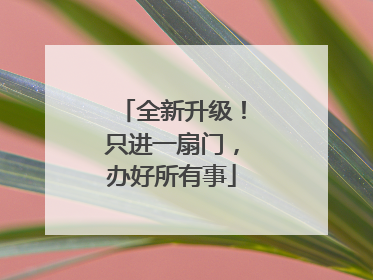 全新升级！只进一扇门，办好所有事
