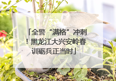 全警“满格”冲刺！黑龙江大兴安岭春训砺兵正当时