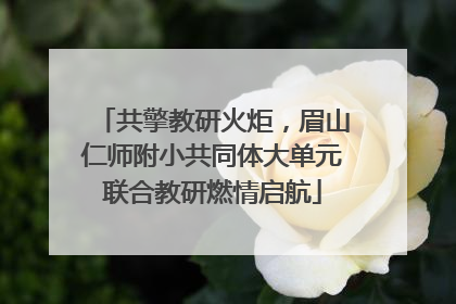 共擎教研火炬，眉山仁师附小共同体大单元联合教研燃情启航