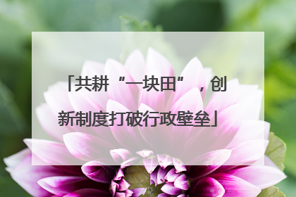共耕“一块田”，创新制度打破行政壁垒