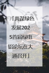 共谋绿色发展2025首届绿电铝论坛在大通召开
