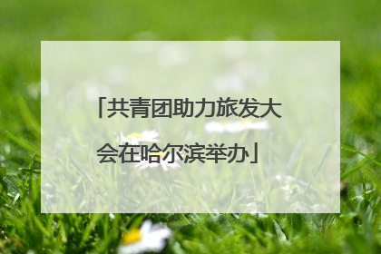 共青团助力旅发大会在哈尔滨举办