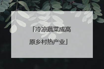 冷凉蔬菜成高原乡村热产业