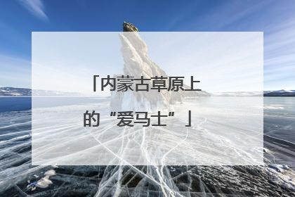 内蒙古草原上的“爱马士”