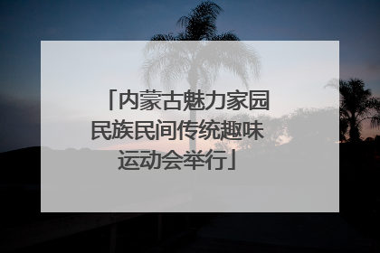 内蒙古魅力家园民族民间传统趣味运动会举行