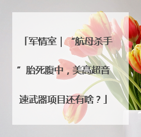 军情室｜“航母杀手”胎死腹中，美高超音速武器项目还有啥？