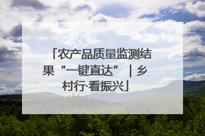 农产品质量监测结果“一键直达”｜乡村行·看振兴