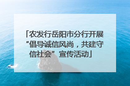 农发行岳阳市分行开展“倡导诚信风尚，共建守信社会”宣传活动