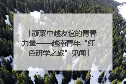 凝聚中越友谊的青春力量——越南青年“红色研学之旅”见闻