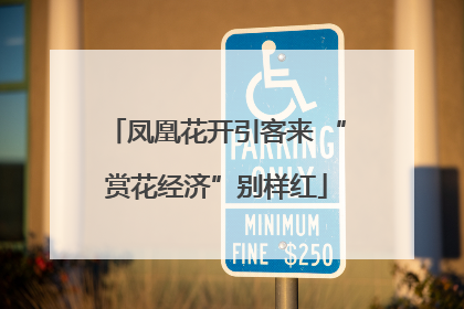 凤凰花开引客来 “赏花经济”别样红