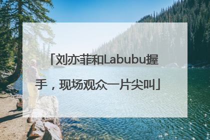 刘亦菲和Labubu握手，现场观众一片尖叫