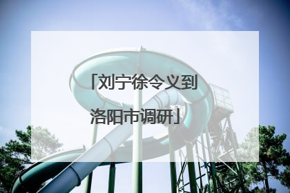 刘宁徐令义到洛阳市调研