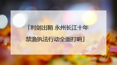 利剑出鞘 永州长江十年禁渔执法行动全面打响