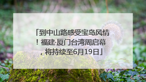 到中山路感受宝岛风情！福建·厦门台湾周启幕，将持续至6月19日