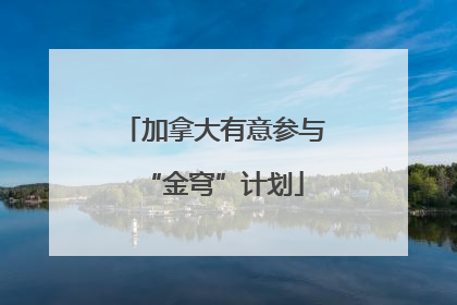 加拿大有意参与“金穹”计划