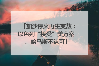加沙停火再生变数：以色列“接受”美方案、哈马斯不认可