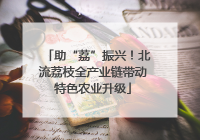 助“荔”振兴！北流荔枝全产业链带动特色农业升级