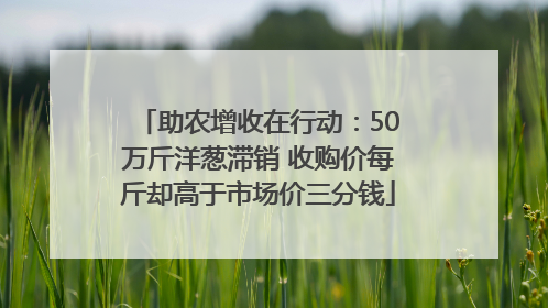 助农增收在行动：50万斤洋葱滞销 收购价每斤却高于市场价三分钱
