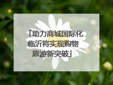 助力商城国际化 临沂将实现购物旅游新突破