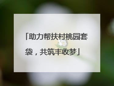 助力帮扶村桃园套袋，共筑丰收梦