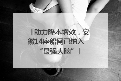 助力降本增效，安徽14座船闸已纳入“最强大脑”