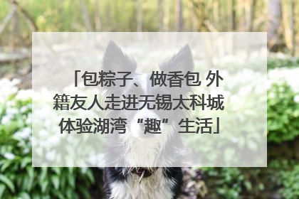 包粽子、做香包 外籍友人走进无锡太科城体验湖湾“趣”生活