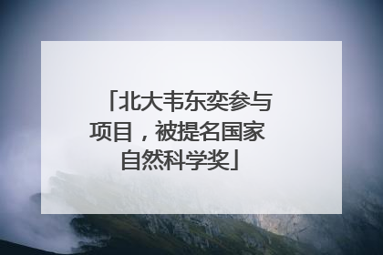 北大韦东奕参与项目，被提名国家自然科学奖