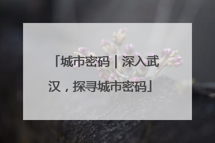 城市密码｜深入武汉，探寻城市密码