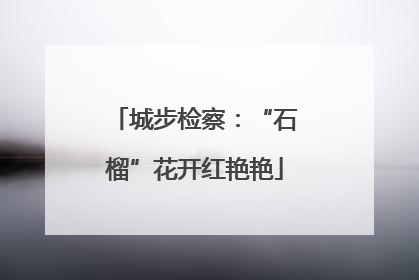 城步检察：“石榴”花开红艳艳