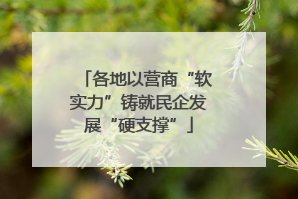 各地以营商“软实力”铸就民企发展“硬支撑”