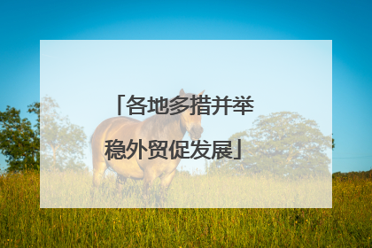各地多措并举稳外贸促发展