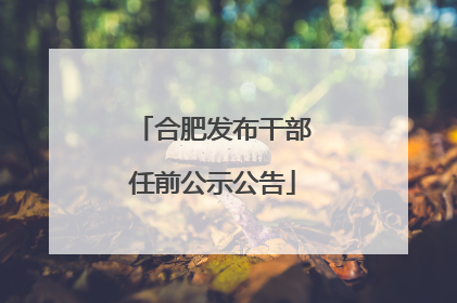 合肥发布干部任前公示公告