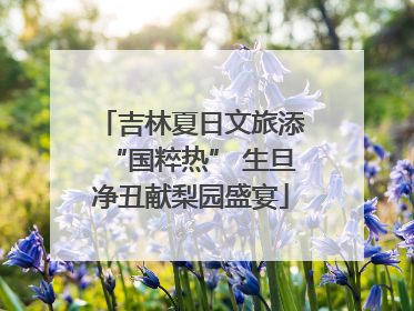 吉林夏日文旅添“国粹热” 生旦净丑献梨园盛宴
