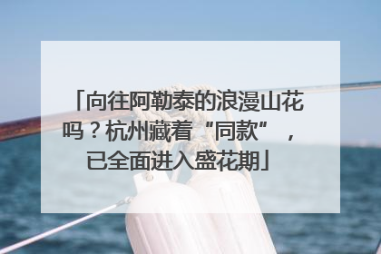 向往阿勒泰的浪漫山花吗？杭州藏着“同款”，已全面进入盛花期