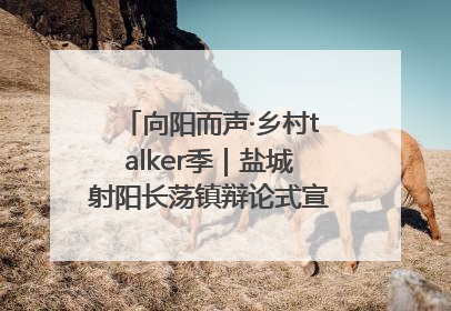 向阳而声·乡村talker季｜盐城射阳长荡镇辩论式宣讲有看头有热度