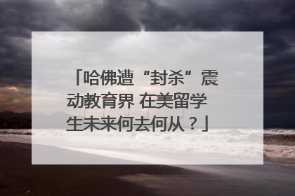 哈佛遭“封杀”震动教育界 在美留学生未来何去何从？
