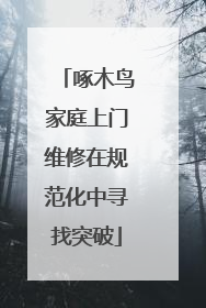 啄木鸟家庭上门维修在规范化中寻找突破