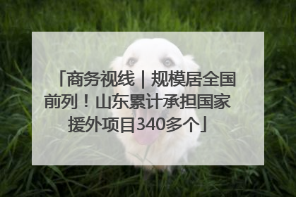 商务视线｜规模居全国前列！山东累计承担国家援外项目340多个