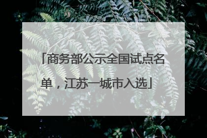 商务部公示全国试点名单，江苏一城市入选
