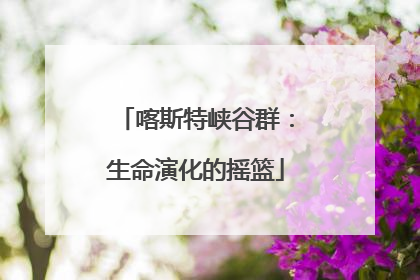 喀斯特峡谷群：生命演化的摇篮