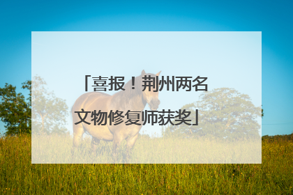 喜报！荆州两名文物修复师获奖