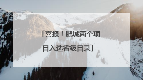 喜报！肥城两个项目入选省级目录