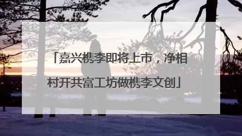 嘉兴槜李即将上市，净相村开共富工坊做槜李文创