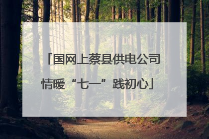 国网上蔡县供电公司情暖“七一”践初心