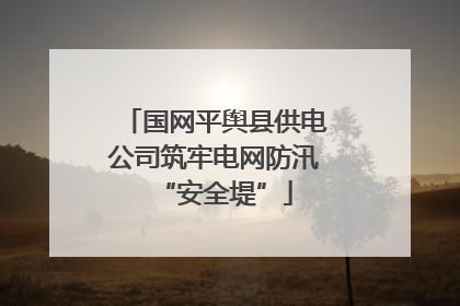 国网平舆县供电公司筑牢电网防汛“安全堤”