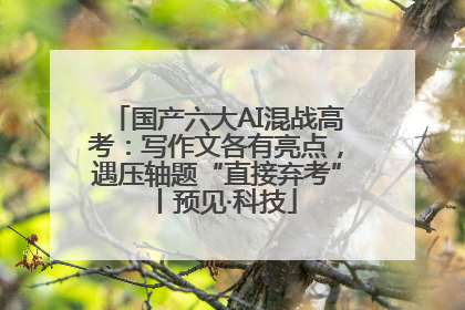国产六大AI混战高考：写作文各有亮点，遇压轴题“直接弃考”丨预见·科技