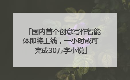 国内首个创意写作智能体即将上线，一小时或可完成30万字小说