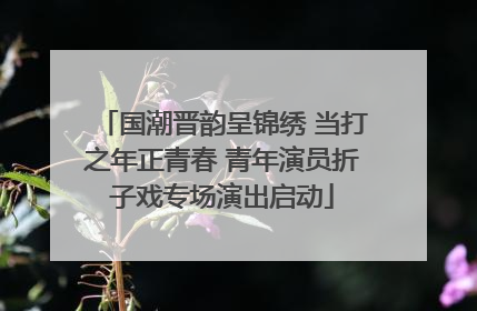 国潮晋韵呈锦绣 当打之年正青春 青年演员折子戏专场演出启动