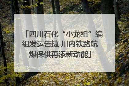 四川石化“小龙组”编组发运告捷 川内铁路航煤保供再添新动能
